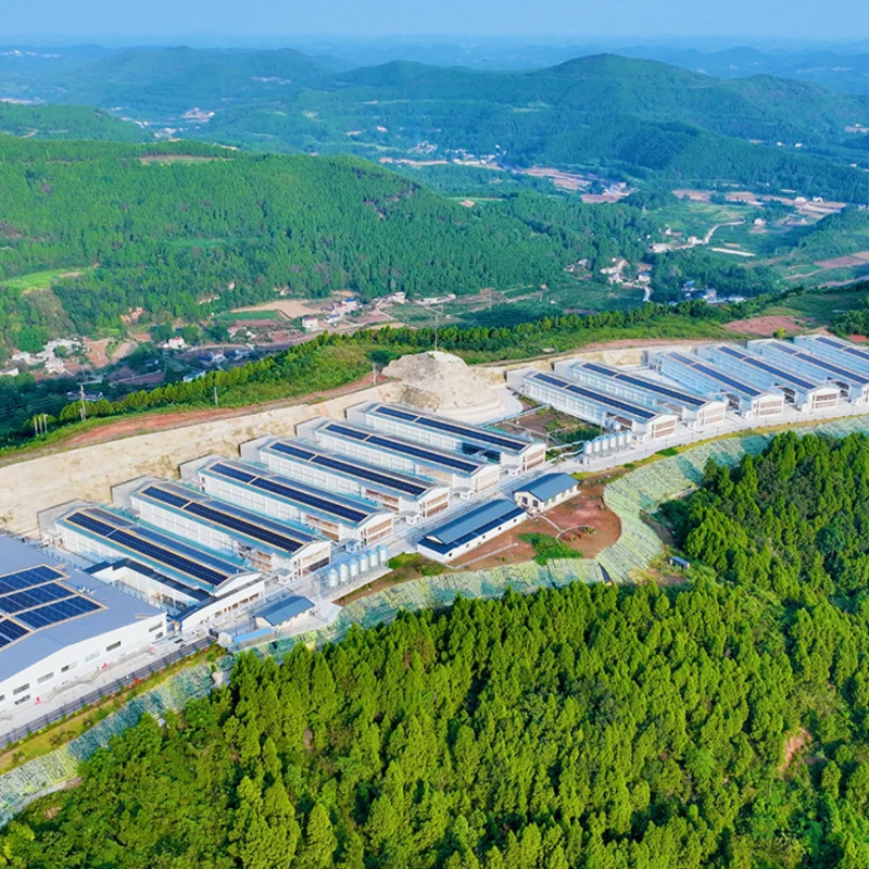 Photovoltaic EPC Project Services