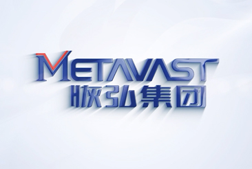 Metavast Group Overview